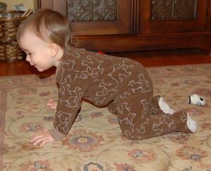 Simon Crawling